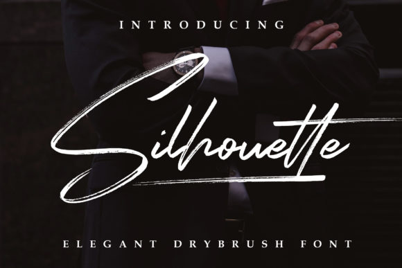 Discover Silhouette Elegant: A Perfect Font for Branding