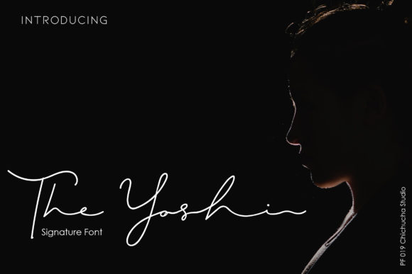 Elevate Your Brand with The Yoshi Font